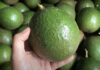 “The Ultimate Guide to Buying Avocados: It’s All About the Skin”.