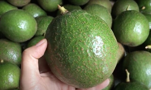 “The Ultimate Guide to Buying Avocados: It’s All About the Skin”.