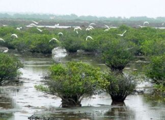 The Beauty Queen’s Homeland: Breathtaking Scenery and Culinary Delights