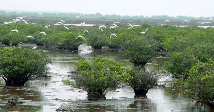 The Beauty Queen’s Homeland: Breathtaking Scenery and Culinary Delights