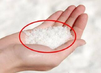 The Magic of Salt: A Sprinkle Around Your Home Brings Surprising Benefits, Backed by Science