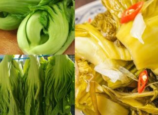 “Transforming Pickles: The Surprising Magic of Brining with Boiled Water”