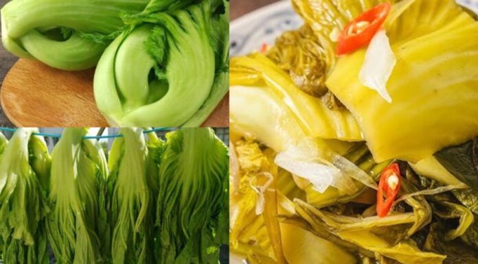 “Transforming Pickles: The Surprising Magic of Brining with Boiled Water”