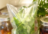 The Secret to Keeping Coriander Fresh for Up to Six Months: A Revolutionary Method to Transform and Preserve Your Herb