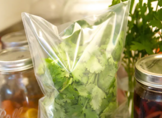 The Secret to Keeping Coriander Fresh for Up to Six Months: A Revolutionary Method to Transform and Preserve Your Herb