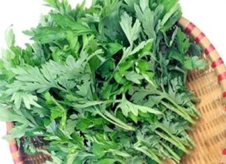 The Magic Mosquito Repellent: A Natural Sleep Solution.