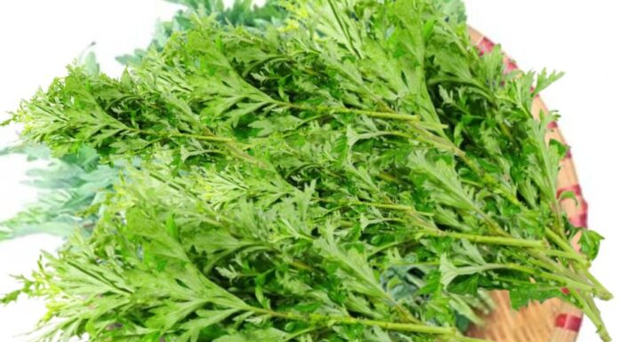 The Feng Shui Master’s Warning: Don’t Keep Knives by Your Bedside, Embrace a Peaceful and Prosperous Sleep Instead