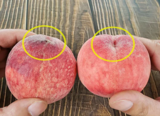 “The Ultimate Guide to Washing Peaches: A Step-by-Step Process for a Perfectly Clean and Delicious Fruit”