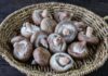 The Ultimate Guide to Cleaning Mushrooms: A Simple Trick for Spotless and Fragrant Results