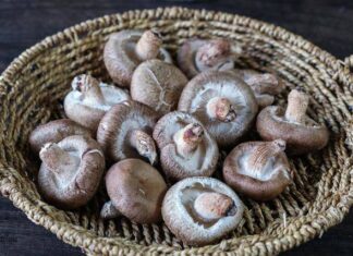 The Ultimate Guide to Cleaning Mushrooms: A Simple Trick for Spotless and Fragrant Results