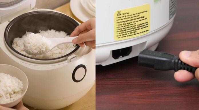 “Should You Unplug Your Rice Cooker as Soon as the Rice is Done? Busting the Misconceptions”