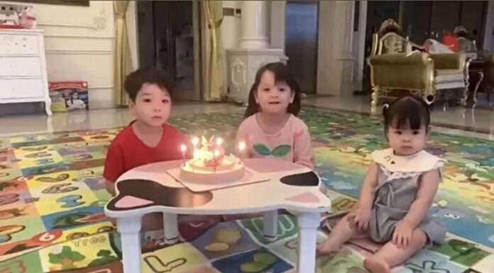 The Ultimate Guide to Captivating Copy: “A Heartwarming Surprise: Đỗ Mỹ Linh Touched by Thoughtful Gifts from Her Niece and Nephews”