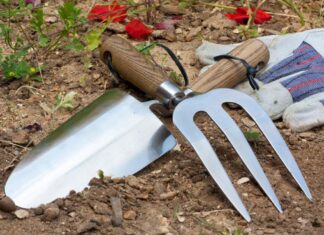 The Magic of Milk: 8 Surprising Ways Milk Can Transform Your Garden