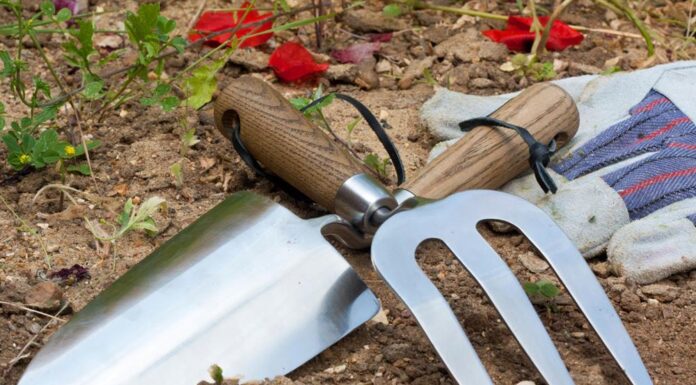 The Magic of Milk: 8 Surprising Ways Milk Can Transform Your Garden