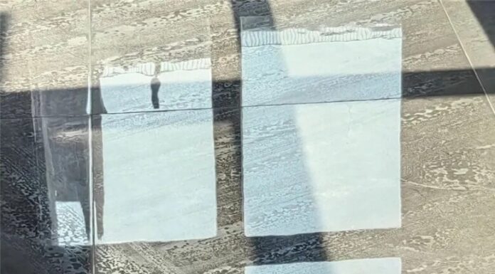 The Blacklisted Vacuum Cleaner: 8 Reasons Why People Are Turning Their Backs on This Household Appliance.