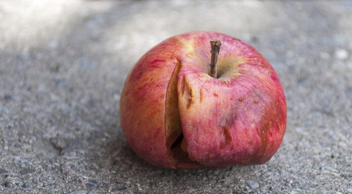 “Keep Fruits Fresh: Tips to Prevent Discoloration”