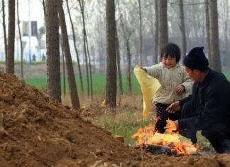 The Ancestors’ Wisdom: Unveiling the Secret to Intergenerational Wealth