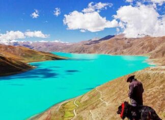 The Abundant Fish in Tibetan Lakes: Why Do Locals Refrain from Eating Them?