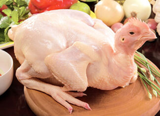 The Ultimate Guide to Navigating the Minefield of Contaminated Food this Lunar New Year: How to Source Clean and Tasty Treats.