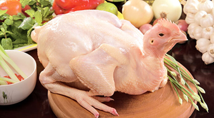 The Ultimate Guide to Navigating the Minefield of Contaminated Food this Lunar New Year: How to Source Clean and Tasty Treats.