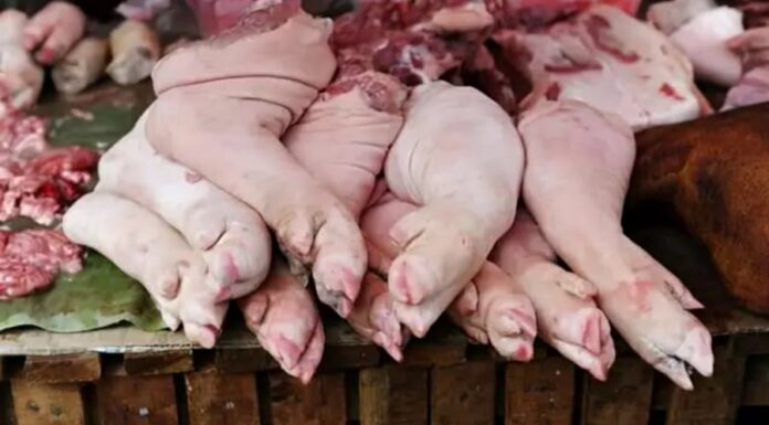 “The Great Ham Hocks: A Culinary Conundrum – Which Pig’s Trotter to Choose?”