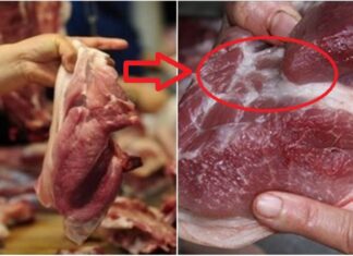 The Ultimate Guide to Buying Pork: 4 Tips for Choosing the Perfect Cut Every Time