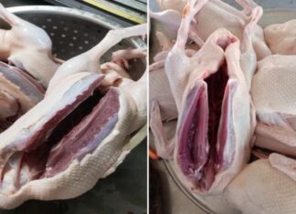 The Secret to Tender, Juicy Duck: A Simple Cooking Hack