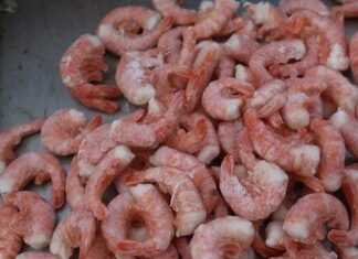 The Ultimate Guide to Grocery Shopping: Avoid These 5 Formaldehyde-Ridden Foods, Smartly!