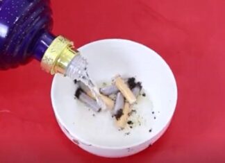 “Soak Cigarette Butts in Vodka for a Budget Buzz”