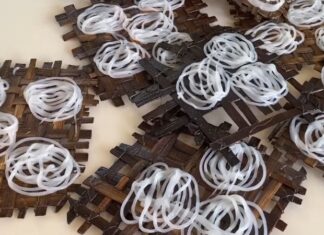 Taste the Unique Delicacy of Doc Let – The Little-Known Specialty of Khanh Hoa Province