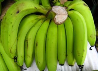 The Carb to Keep You Healthy from Within, Slashing Cancer Risk by 60%