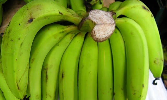 The Carb to Keep You Healthy from Within, Slashing Cancer Risk by 60%