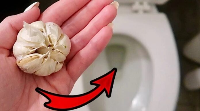 The Magic of a Garlic Clove: Unlocking the Power in Your Toilet Bowl