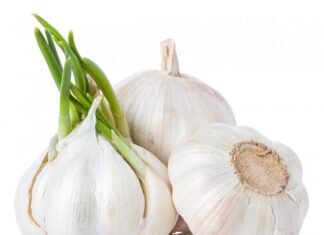 The Ultimate Guide to Buying Garlic: Which Ones to Avoid and Why