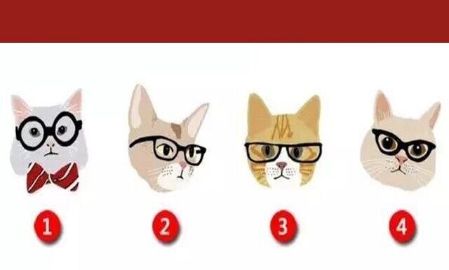 The Ultimate Mind Game: Which Feline Friend Reigns Supreme?