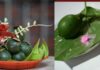 “The Ultimate Guide to Offering Betel and Areca Nuts: A Traditional Ritual”