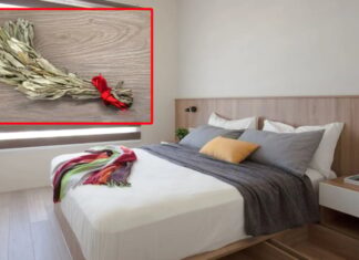 The Magic of Mugwort: An Ancient Herb for a Restful Sleep and a Healthy Home