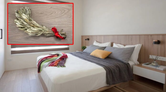 The Magic of Mugwort: An Ancient Herb for a Restful Sleep and a Healthy Home