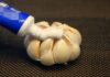 The Magic of Garlic and Toothpaste: 7 Amazing Benefits You’ll Love