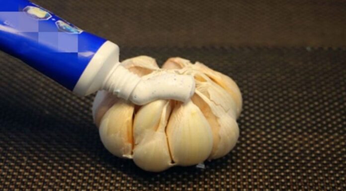 The Magic of Garlic and Toothpaste: 7 Amazing Benefits You’ll Love