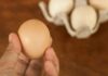“Don’t Be Fooled by Size: How to Pick the Freshest and Tastiest Chicken Eggs”