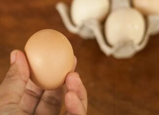 “Don’t Be Fooled by Size: How to Pick the Freshest and Tastiest Chicken Eggs”