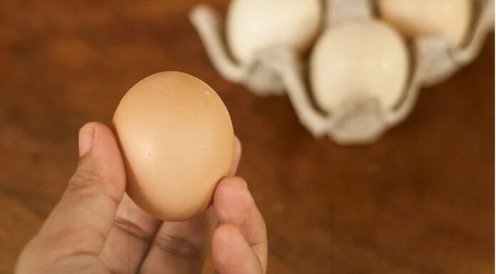 “Don’t Be Fooled by Size: How to Pick the Freshest and Tastiest Chicken Eggs”