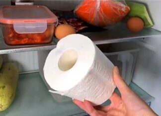 The Coolest Hack: Unveiling the Surprising Benefits of Refrigerated Toilet Paper