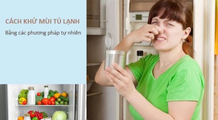 The Stinky Fridge: A Quick Fix for a Fresher Smell