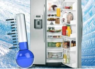 The Ultimate Guide to Using Your Fridge Efficiently: Keep Your Food Fresh and Your Wallet Happy