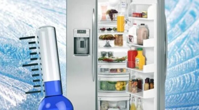 The Ultimate Guide to Using Your Fridge Efficiently: Keep Your Food Fresh and Your Wallet Happy