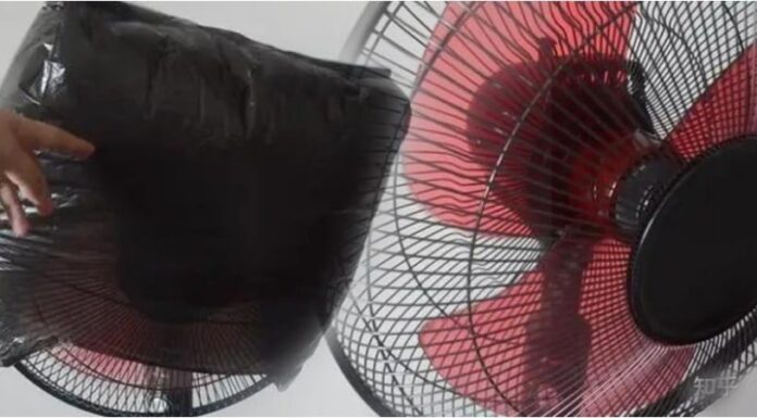 The Magic of Plastic Bags: A Simple Hack to Save Time and Effort