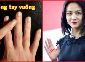 Unveiling the Secrets: The Finger Length Phenomenon and Its Link to a Life of Prosperity