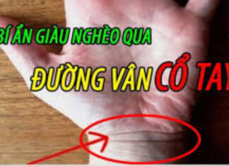 Uncover Your Destiny: Palm Reading and the Secrets It Holds